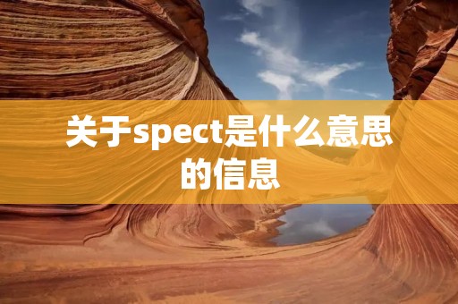 关于spect是什么意思的信息