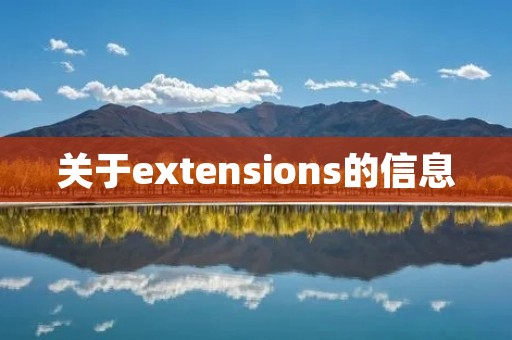 关于extensions的信息 关于extensions的信息