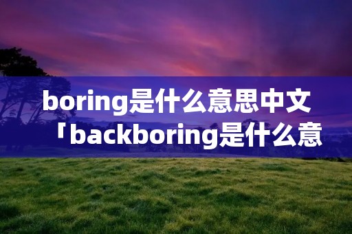 boring是什么意思中文「backboring是什么意思中文」
