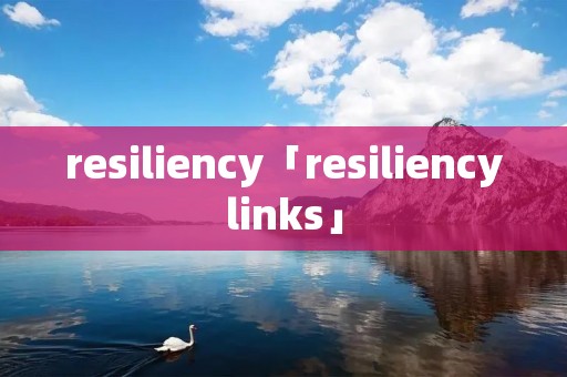 resiliency「resiliencylinks」