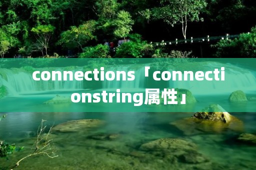 connections「connectionstring属性」