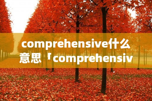 comprehensive什么意思「comprehensive是什么意思中文」