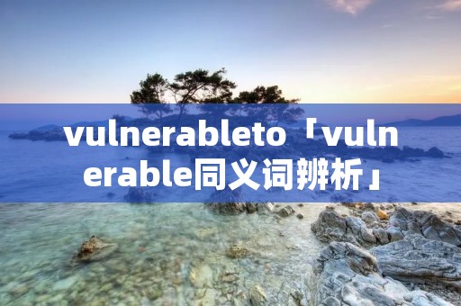 vulnerableto「vulnerable同义词辨析」
