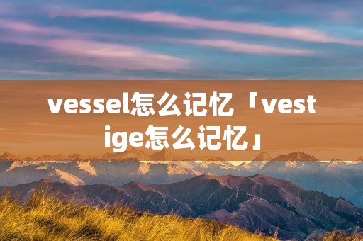 vessel怎么记忆「vestige怎么记忆」