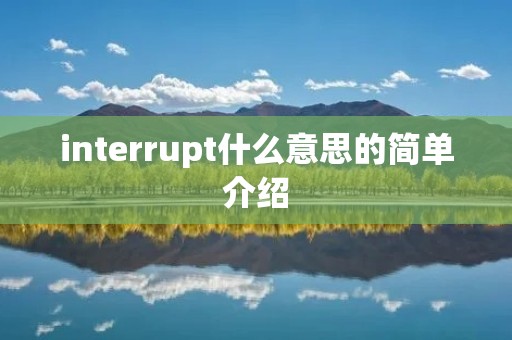 interrupt什么意思的简单介绍