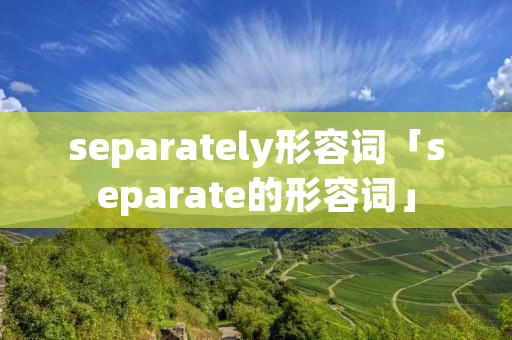 separately形容词「separate的形容词」