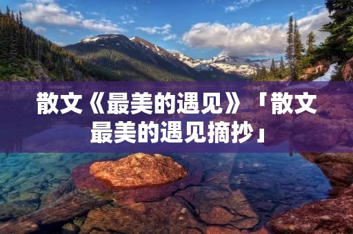 散文《最美的遇见》「散文最美的遇见摘抄」