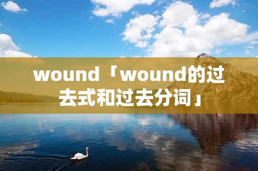 wound「wound的过去式和过去分词」