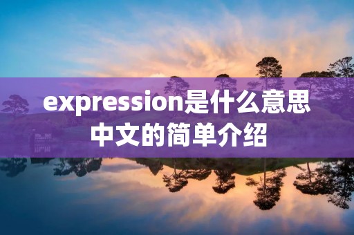 expression是什么意思中文的简单介绍 expression是什么意思中文的简单介绍