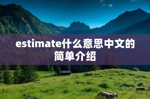 estimate什么意思中文的简单介绍 estimate什么意思中文的简单介绍