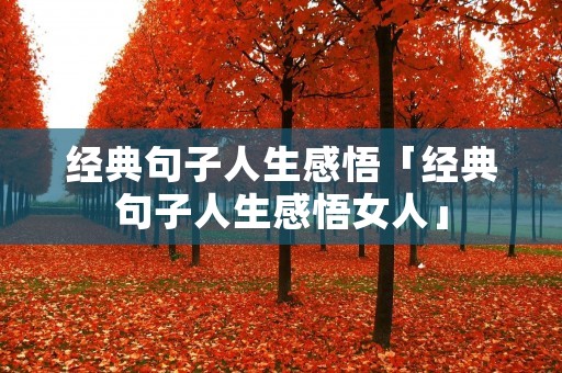经典句子人生感悟「经典句子人生感悟女人」