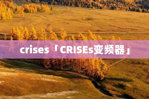 crises「CRISEs变频器」