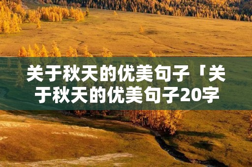 关于秋天的优美句子「关于秋天的优美句子20字」