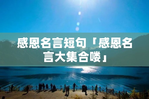 感恩名言短句「感恩名言大集合喽」