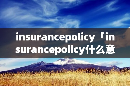 insurancepolicy「insurancepolicy什么意思」