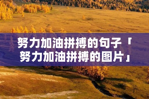 努力加油拼搏的句子「努力加油拼搏的图片」