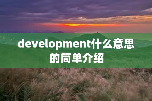 development什么意思的简单介绍 development什么意思的简单介绍
