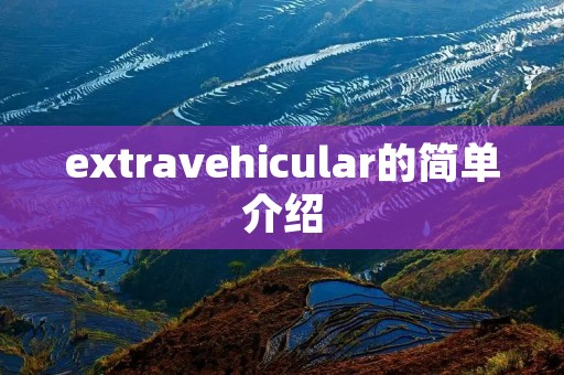 extravehicular的简单介绍