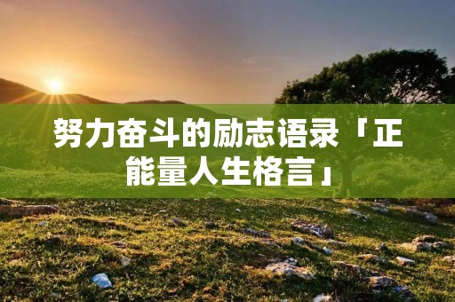 努力奋斗的励志语录「正能量人生格言」