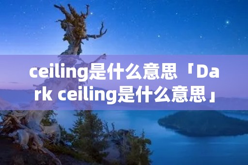 ceiling是什么意思「Dark ceiling是什么意思」