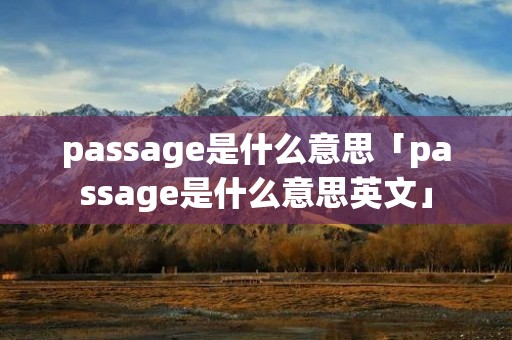 passage是什么意思「passage是什么意思英文」