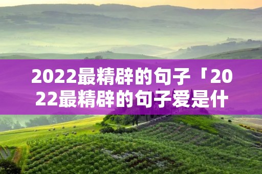 2022最精辟的句子「2022最精辟的句子爱是什么的说说」