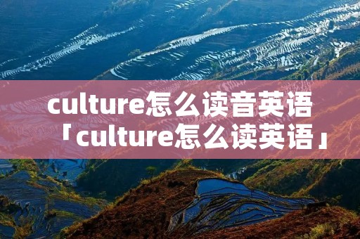 culture怎么读音英语「culture怎么读英语」