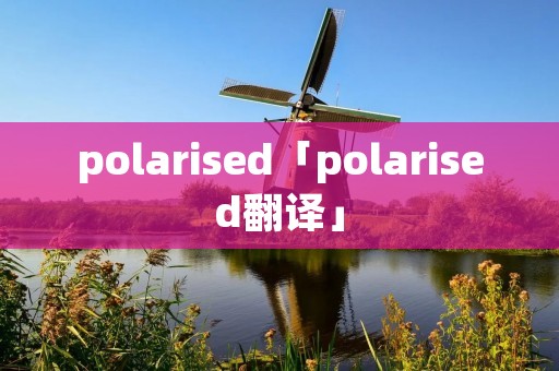 polarised「polarised翻译」