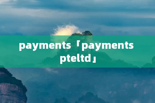 payments「payments pteltd」
