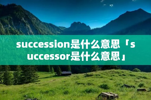 succession是什么意思「successor是什么意思」
