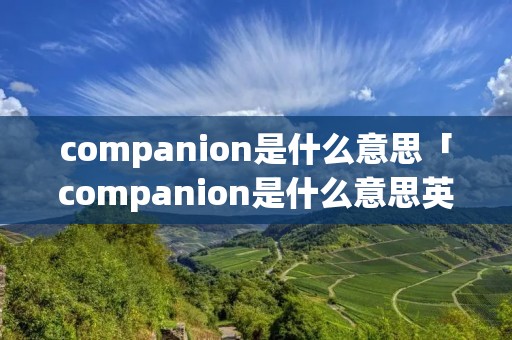 companion是什么意思「companion是什么意思英语」