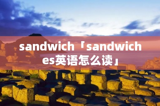 sandwich「sandwiches英语怎么读」