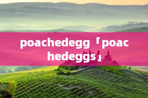 poachedegg「poachedeggs」