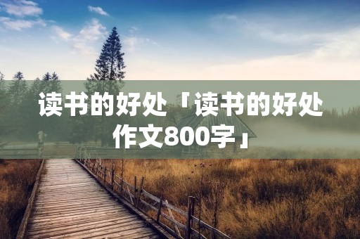 读书的好处「读书的好处作文800字」