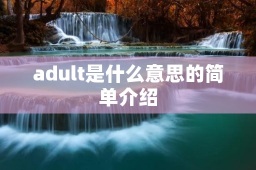 adult是什么意思的简单介绍