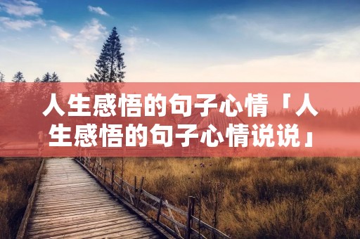 人生感悟的句子心情「人生感悟的句子心情说说」