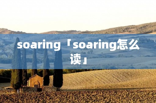 soaring「soaring怎么读」