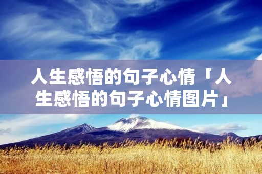 人生感悟的句子心情「人生感悟的句子心情图片」
