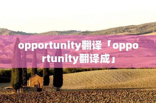 opportunity翻译「opportunity翻译成」