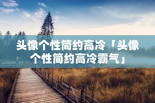 头像个性简约高冷「头像个性简约高冷霸气」