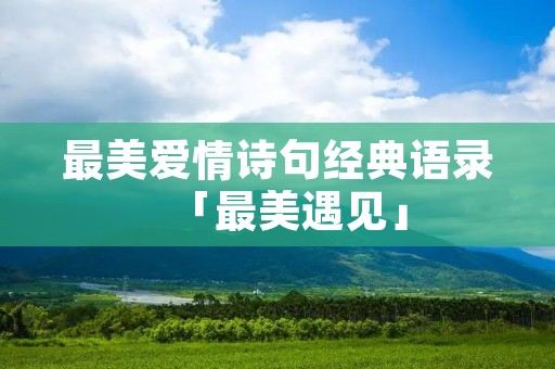 最美爱情诗句经典语录「最美遇见」