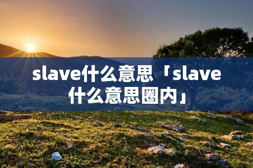 slave什么意思「slave什么意思圈内」