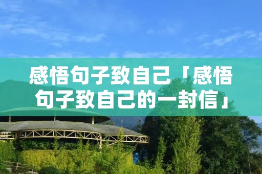 感悟句子致自己「感悟句子致自己的一封信」