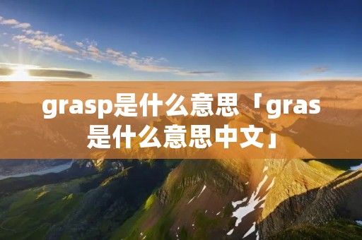grasp是什么意思「gras是什么意思中文」
