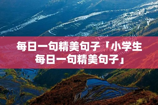 每日一句精美句子「小学生每日一句精美句子」