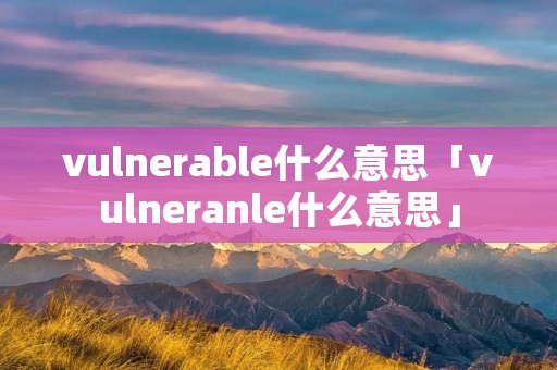 vulnerable什么意思「vulneranle什么意思」