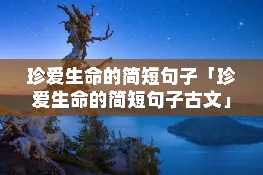 珍爱生命的简短句子「珍爱生命的简短句子古文」