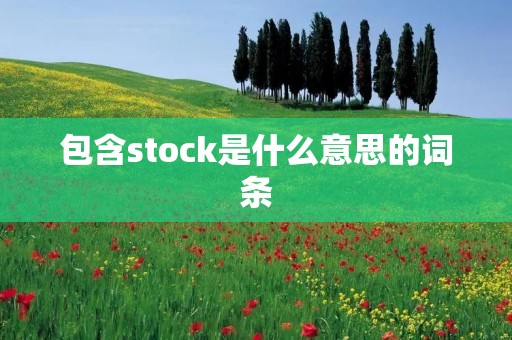 包含stock是什么意思的词条