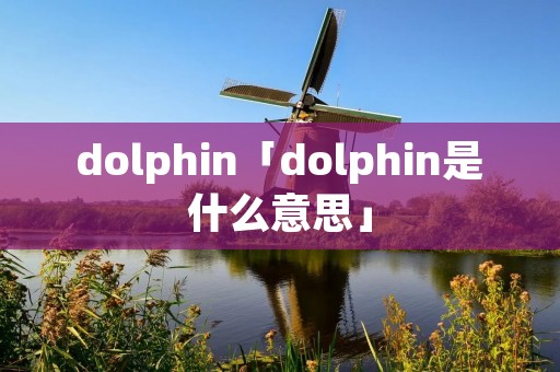 dolphin「dolphin是什么意思」