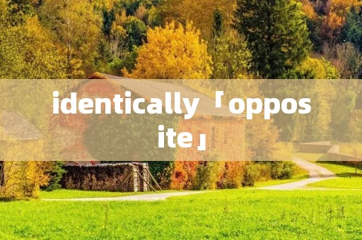 identically「opposite」